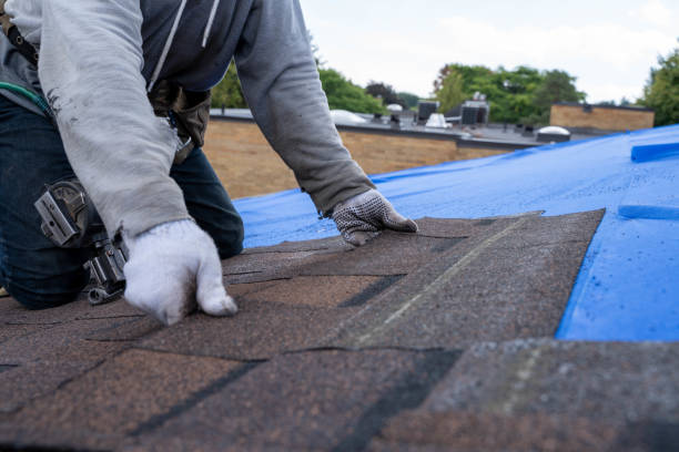 Best Roof Gutter Cleaning  in Summerfield, MD